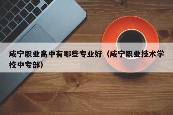 咸寧職業(yè)高中有哪些專業(yè)好（咸寧職業(yè)技術(shù)學(xué)校中專部）