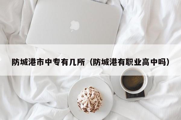 防城港市中專有幾所（防城港有職業(yè)高中嗎）