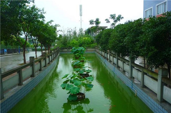 重慶外國(guó)語(yǔ)學(xué)校(重慶二外升學(xué)率怎么樣)