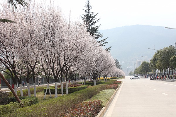 成都市成醫(yī)一附院護(hù)士學(xué)校如何、怎么樣