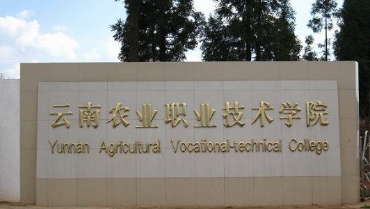 成都市2022年計(jì)算機(jī)學(xué)校哪個好