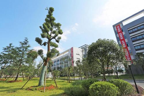2022年四川交通職業(yè)學(xué)校的學(xué)費(fèi)和費(fèi)用是多少？