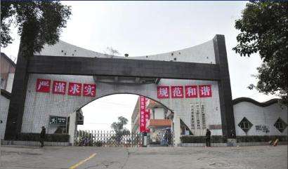 成都哪所學(xué)校有幼師學(xué)校
