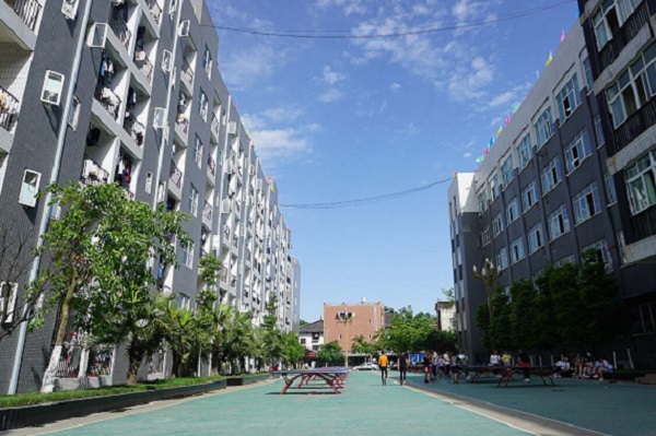 四川普通高中畢業(yè)證(四川高中畢業(yè)證查詢)圖2