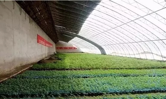 貴陽護理職業(yè)學(xué)院(貴陽花溪護理職業(yè)學(xué)校)