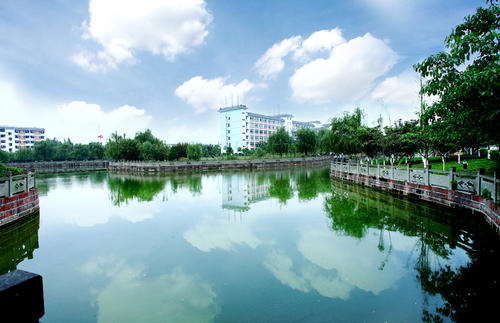 考研怎么報名（考研怎么報名選學校）