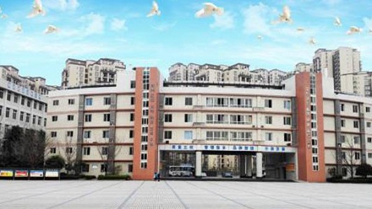 重慶公立職校有哪些(重慶技術(shù)職業(yè)學(xué)校有哪些)