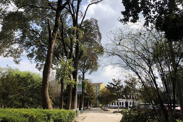 四川2021年哪一個(gè)護(hù)理學(xué)校比較好學(xué)生就業(yè)