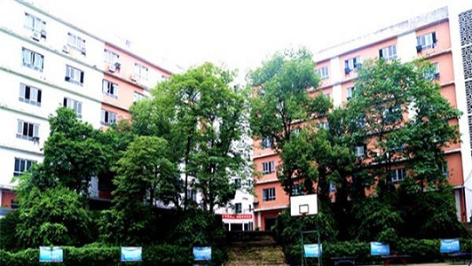 成都市武侯區(qū)哪家職業(yè)技校好(成都城市職業(yè)學(xué)校評(píng)價(jià))