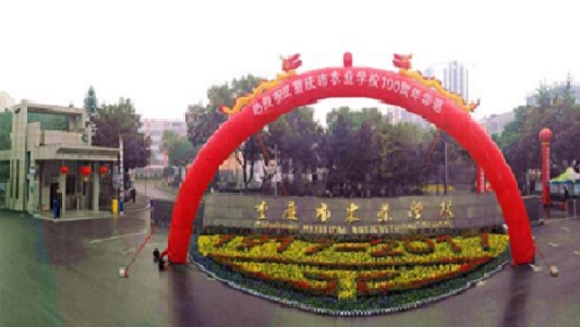 四川省第一人民醫(yī)院護士學(xué)校網(wǎng)站網(wǎng)址