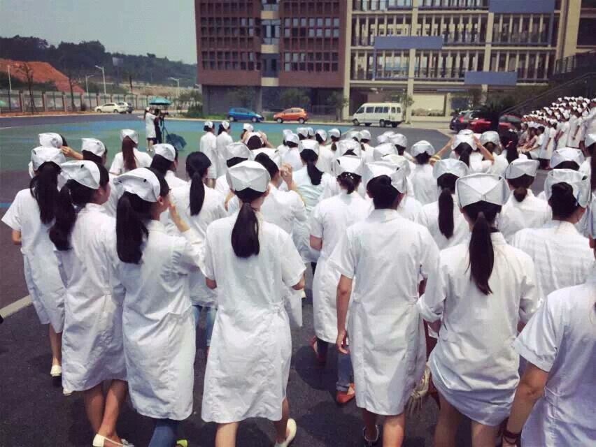 成都幼師學(xué)校的學(xué)費(fèi)是多少？圖1