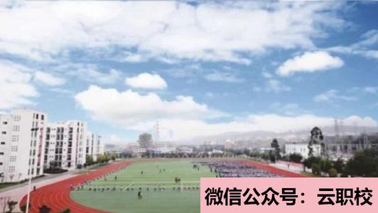 重慶知行衛(wèi)生學校報名條件(重慶沙坪壩區(qū)2021年初中生考什么衛(wèi)校)圖3