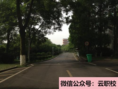 邢臺衛(wèi)校開設(shè)的專業(yè)有哪些?(邢臺2021年衛(wèi)校是學(xué)什么的)
