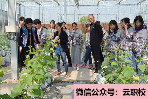 2021年特色幼兒園、幼教藝術(shù)企業(yè)、創(chuàng)意產(chǎn)業(yè)園、國際幼教集團(幼兒教育(國家級非遺藝術(shù)班))
