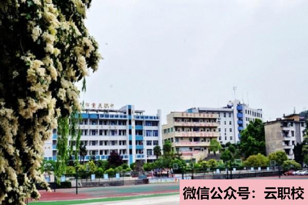 康復(fù)治療技術(shù)專業(yè)怎么樣?(康復(fù)技術(shù))