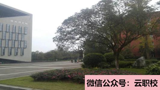 衛(wèi)校開設(shè)專業(yè)全面,女生選擇專業(yè)不再單一化(重慶沙坪壩區(qū)2021年衛(wèi)校都有什么專業(yè)適合女生)