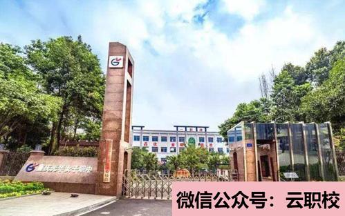 重慶知行衛(wèi)生學校報名條件(重慶沙坪壩區(qū)2021年初中生考什么衛(wèi)校)圖1