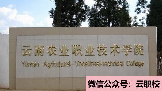初中生讀衛(wèi)校怎么樣?工作還很穩(wěn)定(廣西2021年初中生學衛(wèi)校怎么樣)