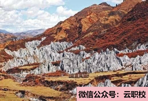 衛(wèi)校是什么學(xué)歷?邢臺長征衛(wèi)生學(xué)校(邢臺2021年衛(wèi)校是什么學(xué)歷)圖3