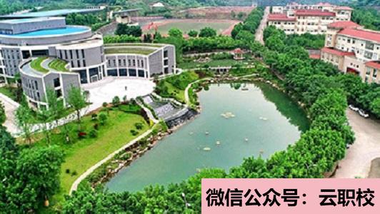 2021年網頁制作技術、圖形圖像處理基礎、設計與消費心理學、Photo(計算機動畫)