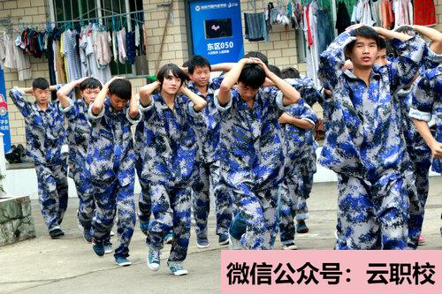 云南經貿外事職業(yè)學院招生代碼圖2