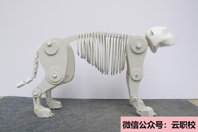 蘇州農(nóng)業(yè)職業(yè)技術(shù)學(xué)院單招報名條件