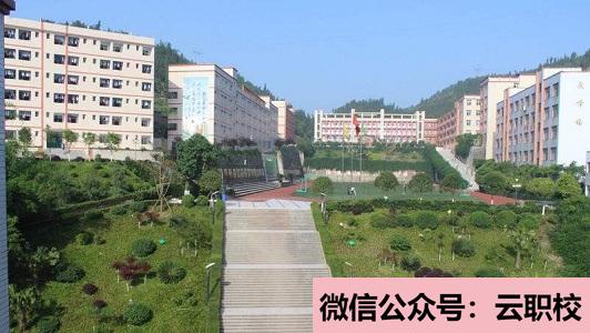 重慶市南丁衛(wèi)生學校招生對象(重慶沙坪壩區(qū)2021年讀衛(wèi)校有什么要求)圖1