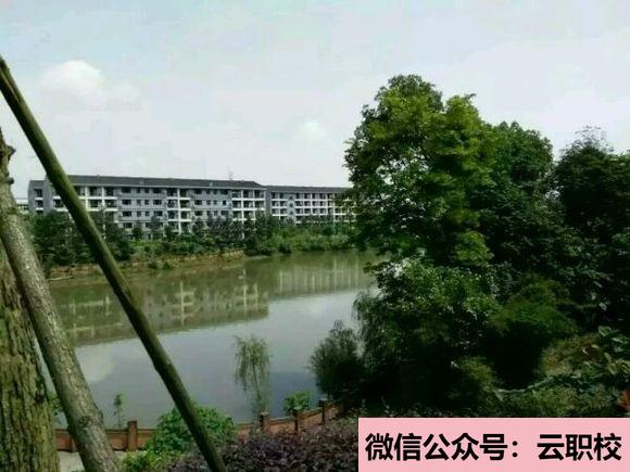 2021年四川瀘州高級中學(xué)招生要求及報(bào)名條件圖3