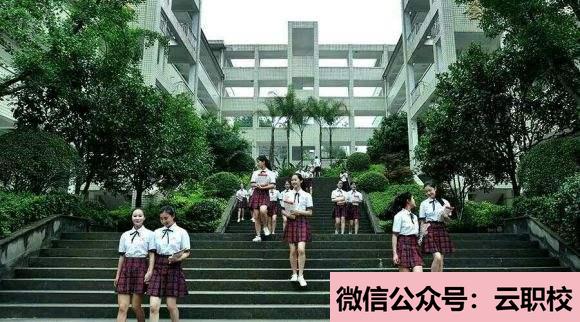 2021年有機(jī)化學(xué)、物理化學(xué)與分子生物學(xué)、臨床醫(yī)學(xué)概論、藥物合成、藥物(臨床藥學(xué))