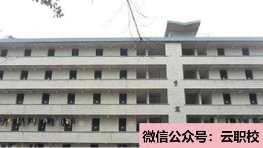 女生在衛(wèi)校學(xué)什么好?助產(chǎn)專(zhuān)業(yè)就業(yè)前景良好(重慶沙坪壩區(qū)2021年女生在衛(wèi)校學(xué)什么好)圖3