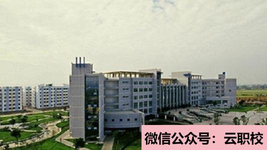 重慶市南丁衛(wèi)生學(xué)校報名條件(重慶沙坪壩區(qū)2021年中專衛(wèi)校招生)圖3