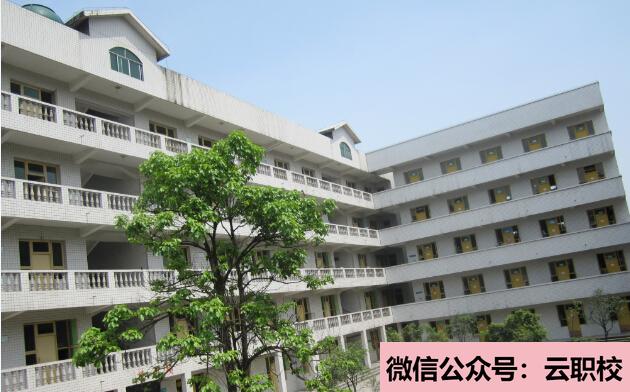 重慶中?？梢陨髮?(重慶2021年衛(wèi)校中專升全日制大專)圖1