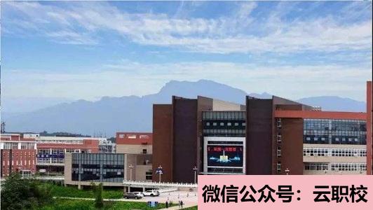 正德職業(yè)技術學院單招的招生計劃