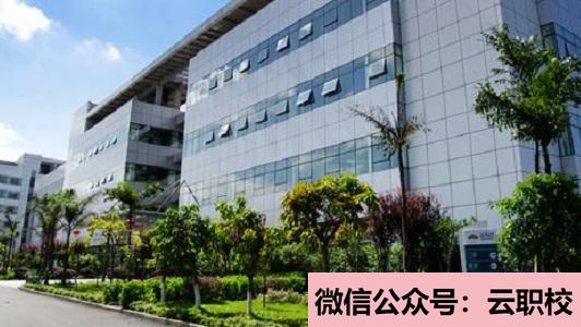 學前教育改革和發(fā)展需要,德、智、體、美全面發(fā)展(學前教育)