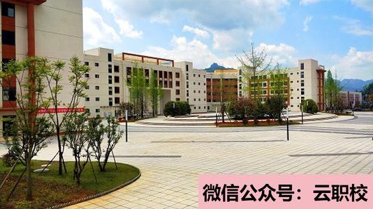 邢臺衛(wèi)校開設的專業(yè)有哪些?(邢臺2021年衛(wèi)校是學什么的)