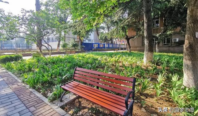 大學(xué)?？朴心男W(xué)校(重慶學(xué)校有哪些大學(xué)專科)