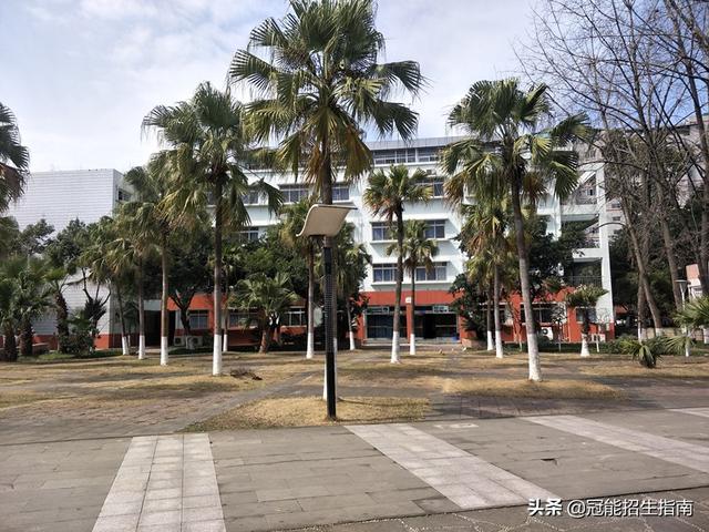 成都職業(yè)技術(shù)學校招生(成都市職業(yè)技術(shù)學校有哪些)