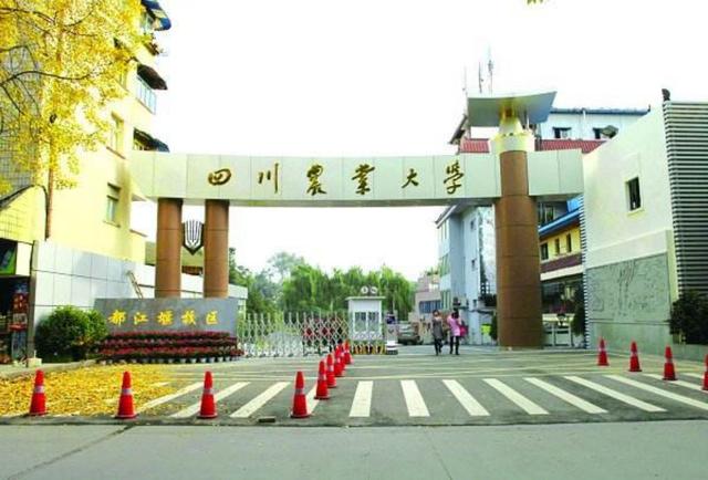 成都考研學校排名(成都考研機構排名推薦)