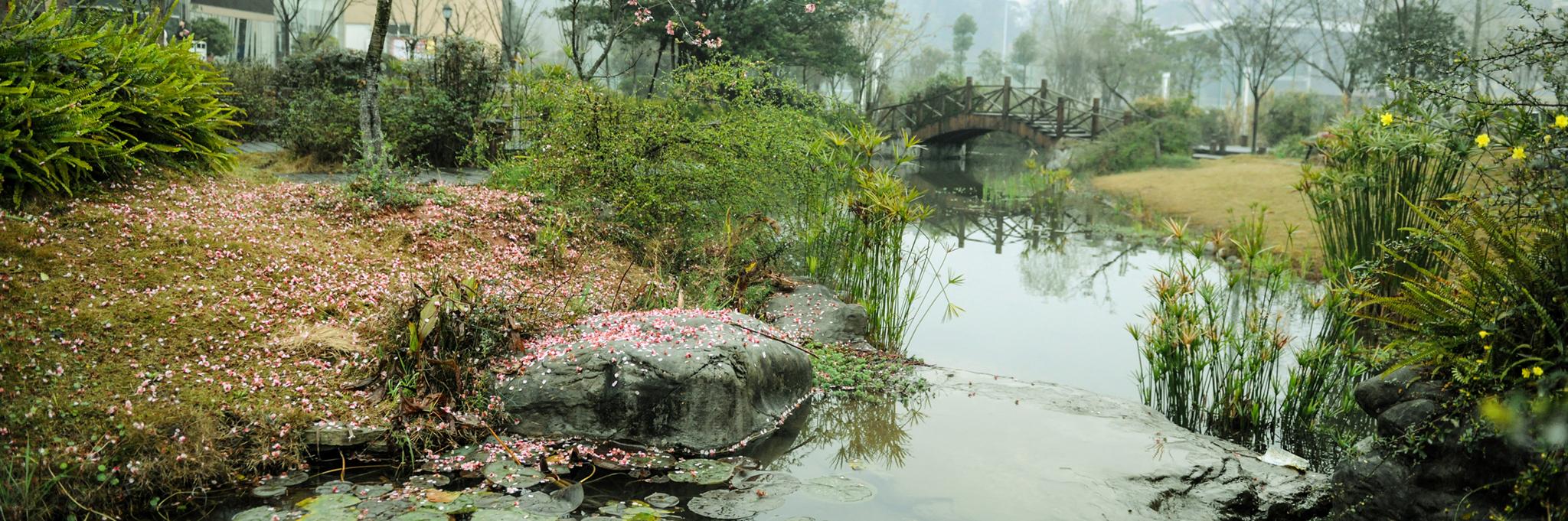 達(dá)縣師范專科學(xué)校(達(dá)縣師范?？茖W(xué)校有哪些專業(yè))