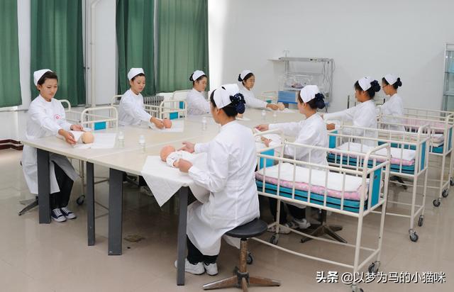 初中畢業(yè)學(xué)什么專業(yè)好女孩(初中畢業(yè)學(xué)什么專業(yè)好女孩音樂)