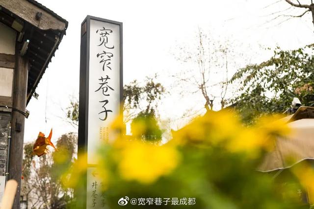 成都網紅打卡地(成都網紅打卡地排名)