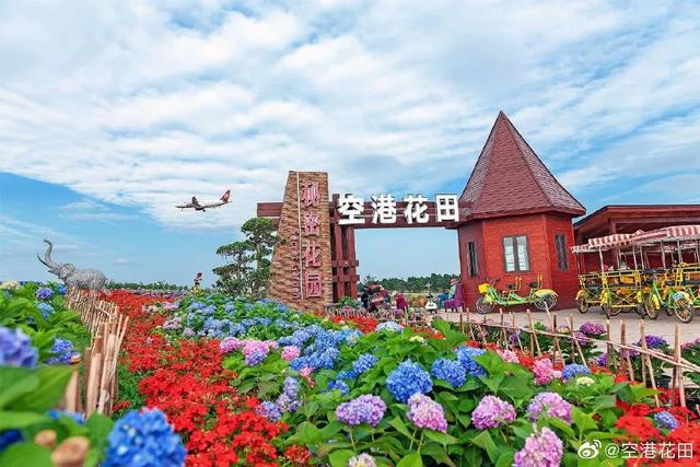 成都網紅打卡地(成都網紅打卡地排名)