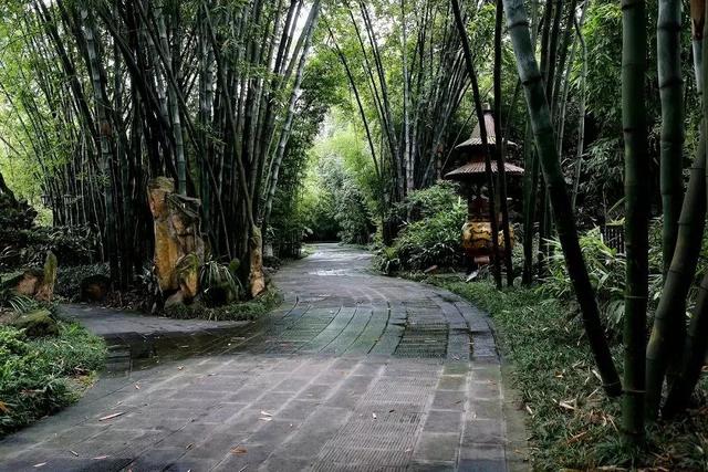 成都網紅打卡地(成都網紅打卡地排名)