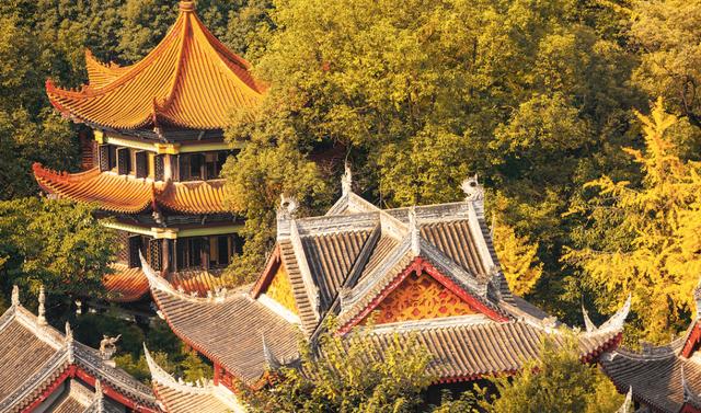 成都網紅打卡地(成都網紅打卡地排名)