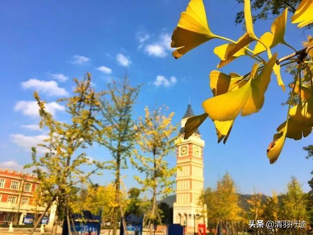 成都西南航空職業(yè)學校(西南航空職業(yè)技術(shù)學校)