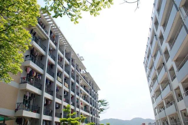 重慶口碑好的職業(yè)學(xué)校有哪些(重慶電訊職業(yè)學(xué)?？诒趺礃?
