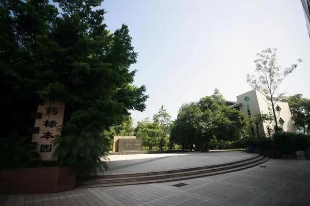 重慶口碑好的職業(yè)學(xué)校有哪些(重慶電訊職業(yè)學(xué)?？诒趺礃?