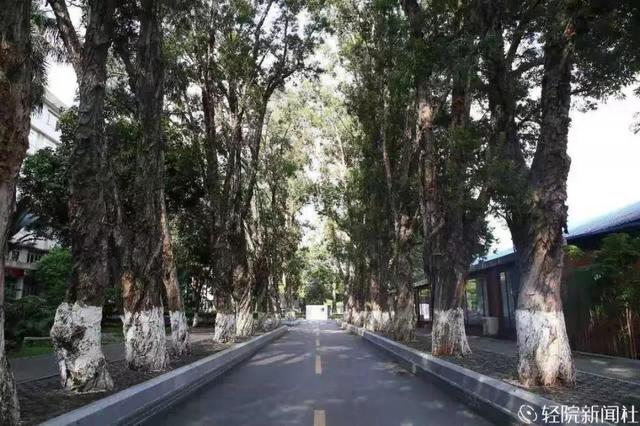 重慶口碑好的職業(yè)學(xué)校有哪些(重慶電訊職業(yè)學(xué)?？诒趺礃?