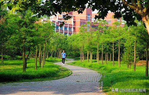 成都有護理專業(yè)的大學有哪些(成都本科護理專業(yè)大學有哪些)