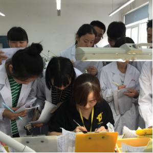 成都市衛(wèi)生學校(成都市衛(wèi)生學校怎么樣)